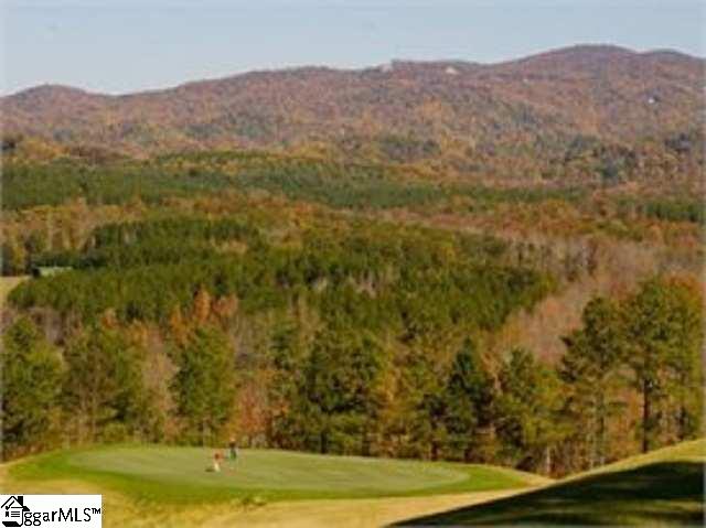 313 Laurel Valley Way, Travelers Rest, SC 29690