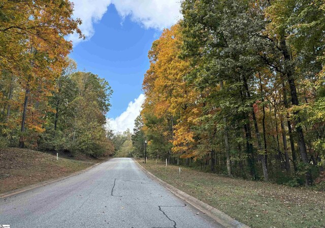 313 Laurel Valley Way, Travelers Rest, SC 29690