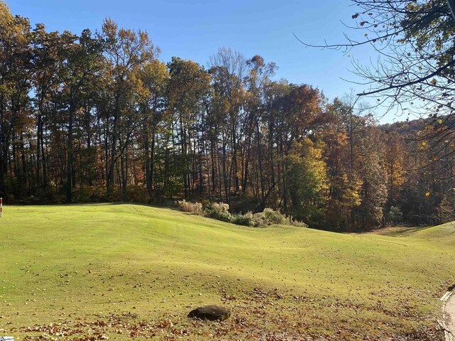 313 Laurel Valley Way, Travelers Rest, SC 29690