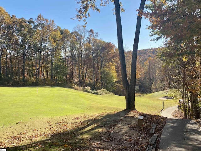 313 Laurel Valley Way, Travelers Rest, SC 29690