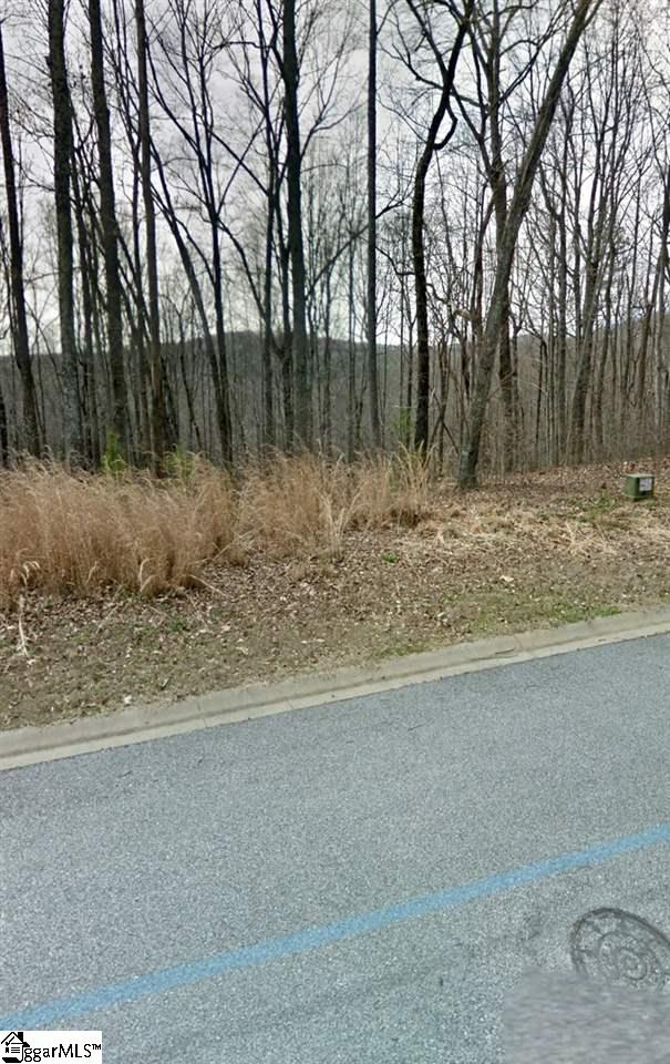 313 Laurel Valley Way, Travelers Rest, SC 29690