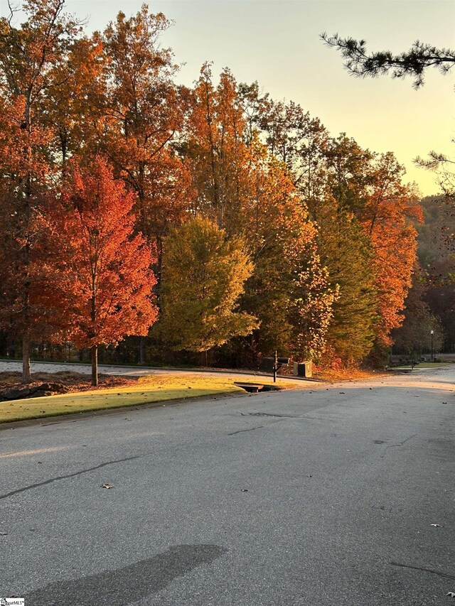 313 Laurel Valley Way, Travelers Rest, SC 29690