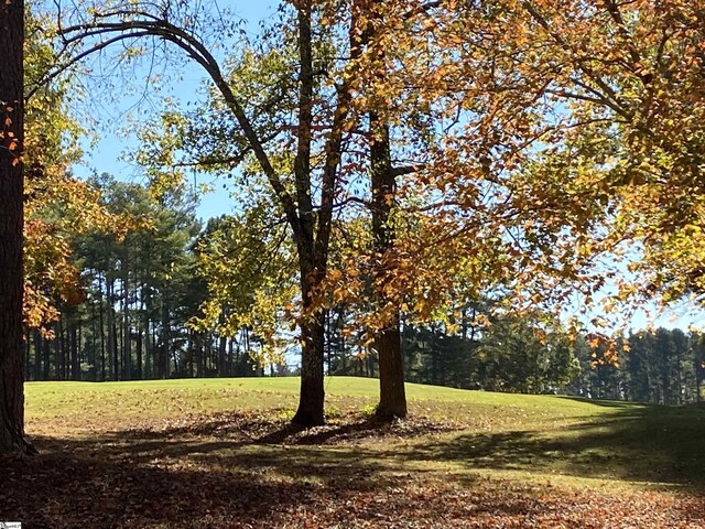 313 Laurel Valley Way, Travelers Rest, SC 29690