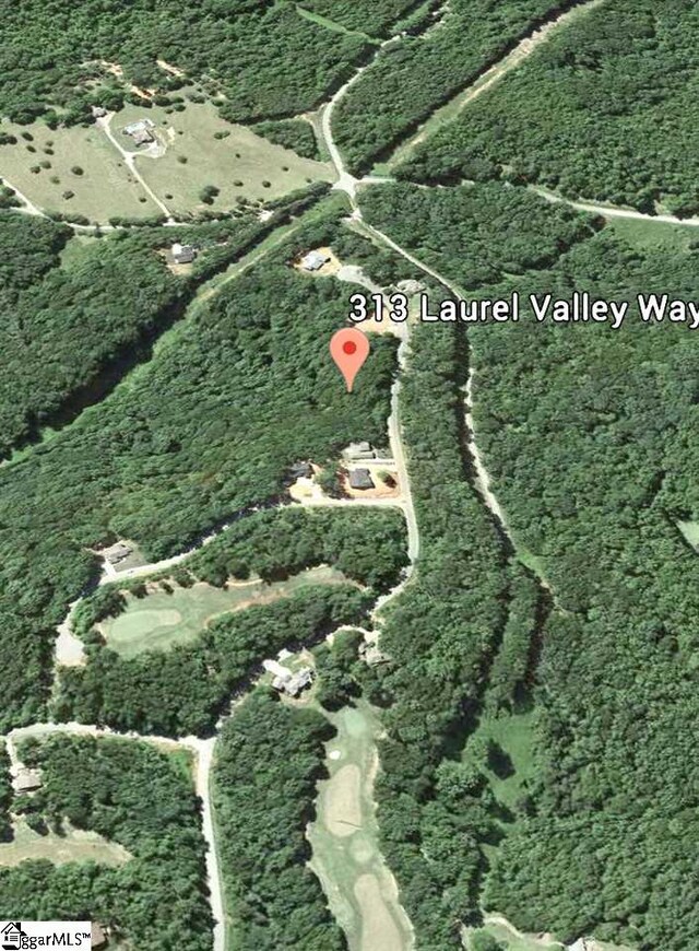 313 Laurel Valley Way, Travelers Rest, SC 29690