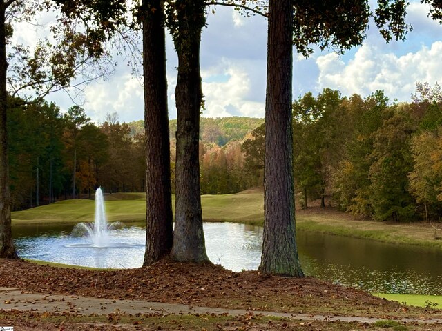 313 Laurel Valley Way, Travelers Rest, SC 29690