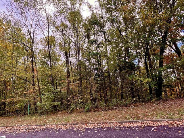 313 Laurel Valley Way, Travelers Rest, SC 29690