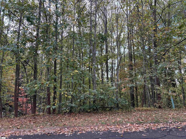 313 Laurel Valley Way, Travelers Rest, SC 29690