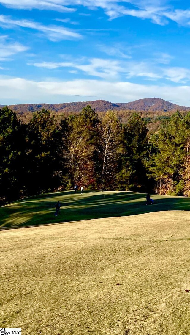 313 Laurel Valley Way, Travelers Rest, SC 29690