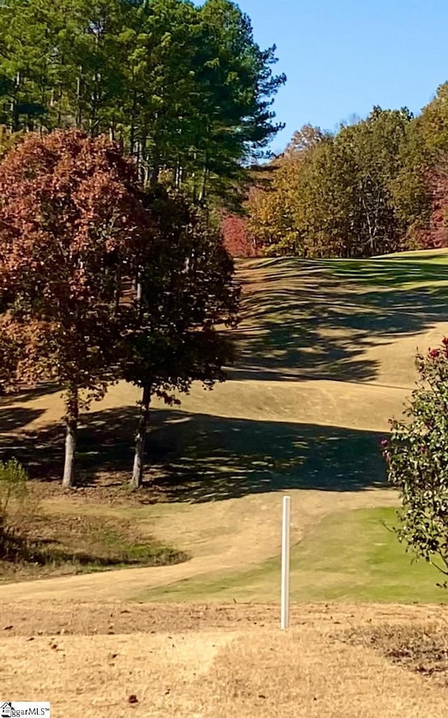 313 Laurel Valley Way, Travelers Rest, SC 29690