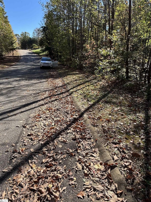 313 Laurel Valley Way, Travelers Rest, SC 29690