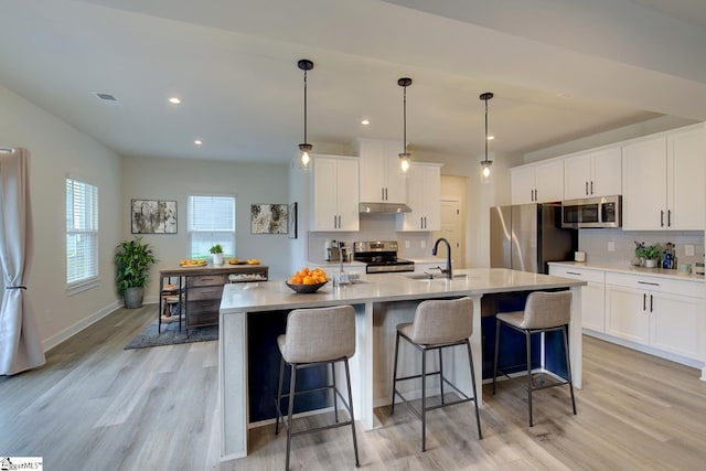 38 Comanche Trl, Greenville, SC 29607 - kitchen with appliances with stainless steel finishes, tasteful backsplash, light wood-type flooring, a sink, and under cabinet range hood