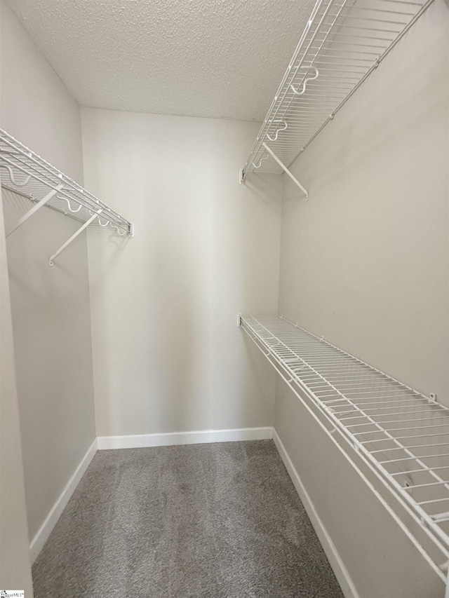 445 Rexford Dr, Moore, SC 29369