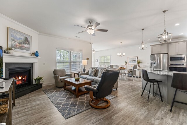 305 Fox Brook Ct, Taylors, SC 29687 - living room with ornamental molding, ceiling fan with notable chandelier, and wood finished floors