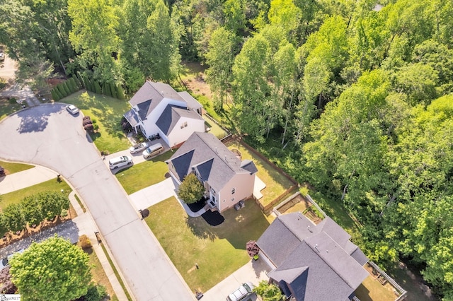 drone / aerial view