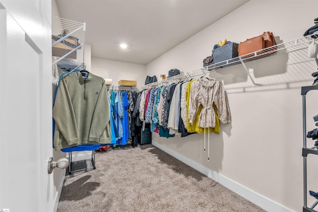spacious closet with carpet
