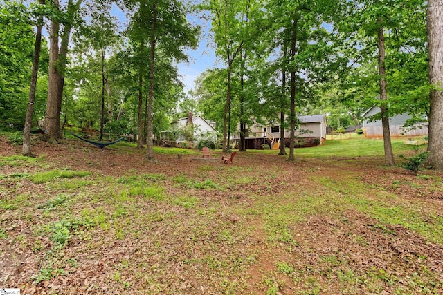 view of yard