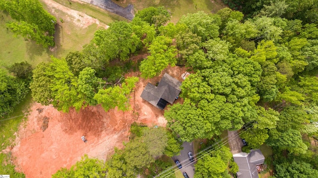 30 Farmview Dr, Travelers Rest, SC 29690 - bird's eye view