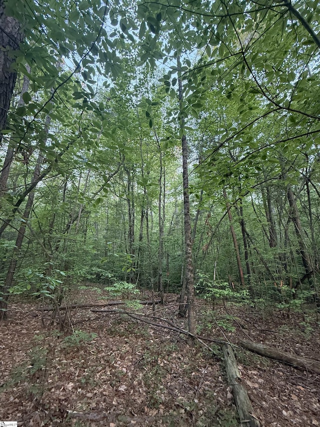 207 Leroy Dr, Liberty, SC 29657