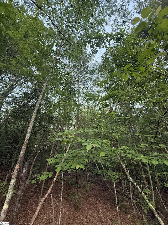 207 Leroy Dr, Liberty, SC 29657