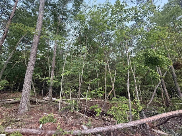 207 Leroy Dr, Liberty, SC 29657