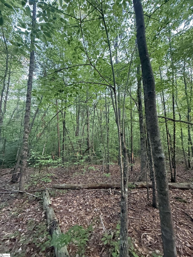 207 Leroy Dr, Liberty, SC 29657