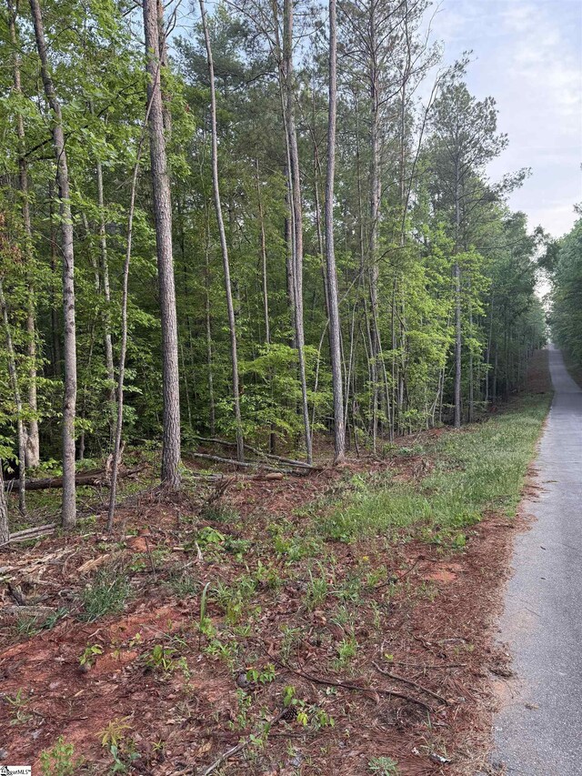 207 Leroy Dr, Liberty, SC 29657