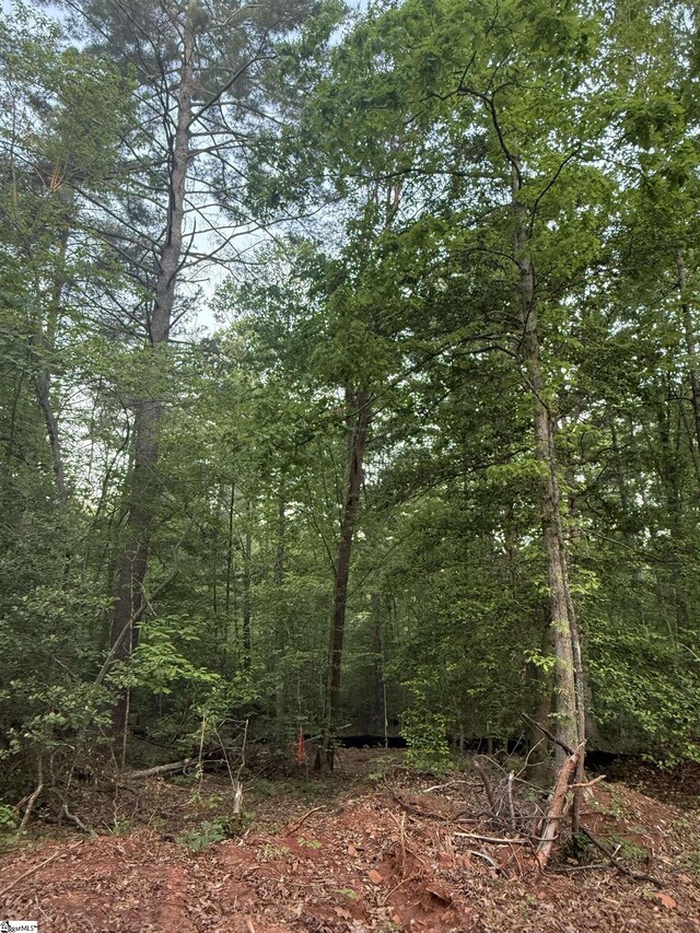 207 Leroy Dr, Liberty, SC 29657