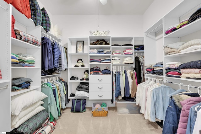 spacious closet with carpet floors and a ceiling fan