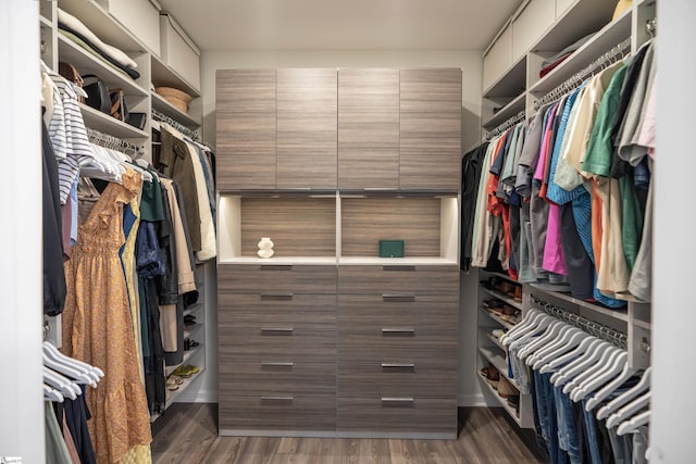 429 Rubia Dr, Greenville, SC 29607 - walk in closet with dark wood-style flooring