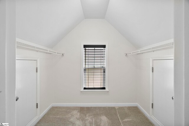 walk in closet featuring carpet floors and lofted ceiling