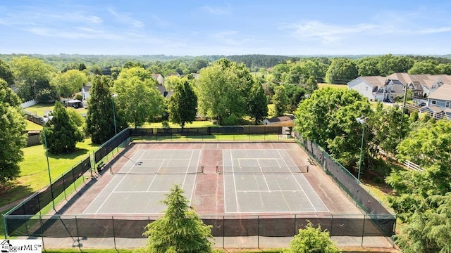 bird's eye view