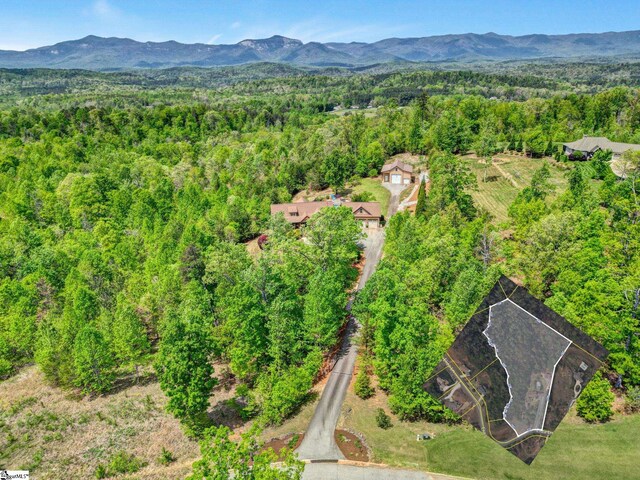 129 Eliza Ln, Marietta, SC 29661 - drone / aerial view with a forest view and a mountain view