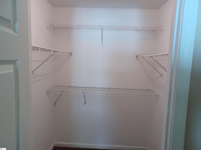 view of spacious closet