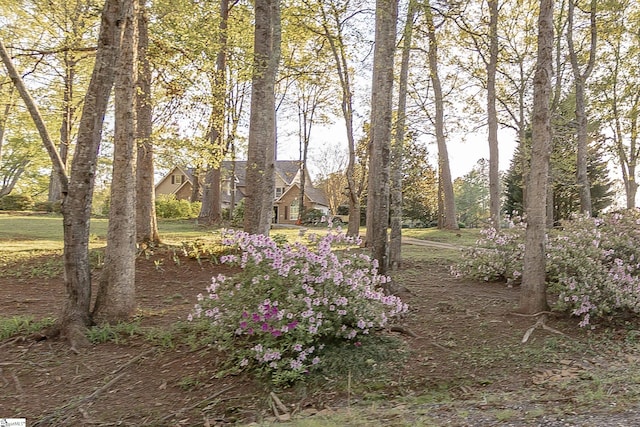 104 Bellewood Dr, Easley, SC 29640 - view of yard