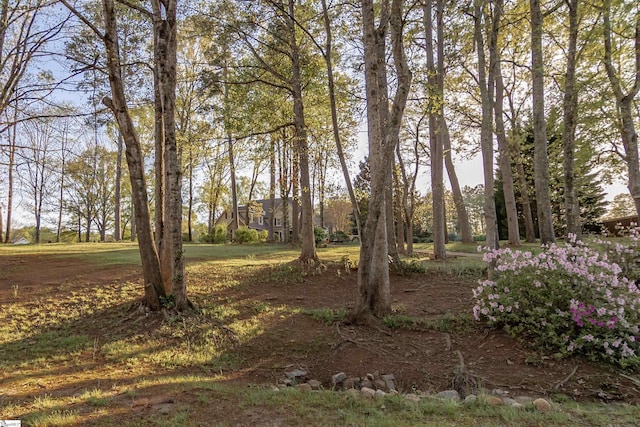104 Bellewood Dr, Easley, SC 29640 - view of yard
