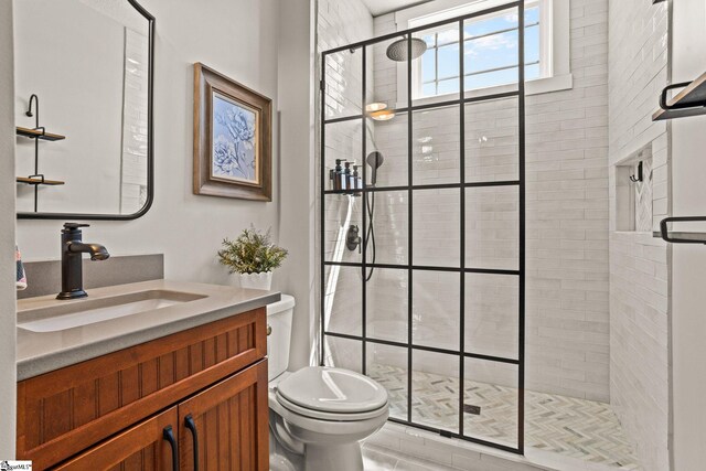 bathroom with vanity, toilet, and a shower stall