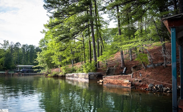 property view of water