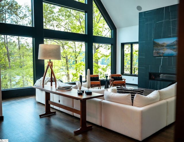 living room with high vaulted ceiling, wood finished floors, and a fireplace