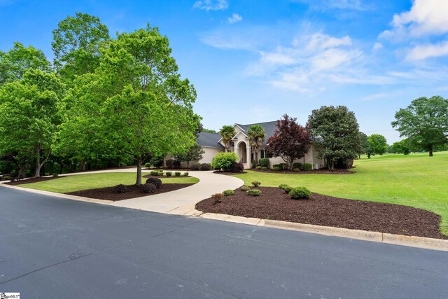 view of front facade featuring curved driveway, stucco siding, and a front yard