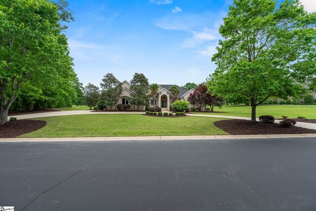 view of front of home featuring curved driveway, stucco siding, and a front lawn