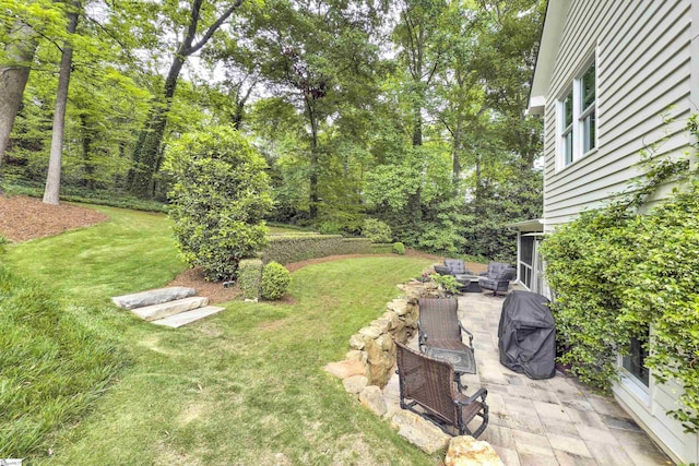 view of yard featuring a patio
