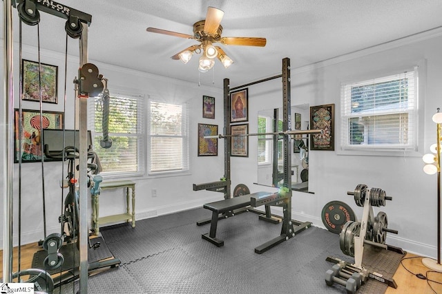 207 Tollgate Rd, Simpsonville, SC 29681 - workout room with a ceiling fan, baseboards, ornamental molding, and plenty of natural light