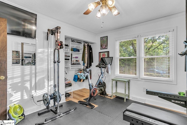 207 Tollgate Rd, Simpsonville, SC 29681 - exercise area featuring visible vents, a ceiling fan, and ornamental molding