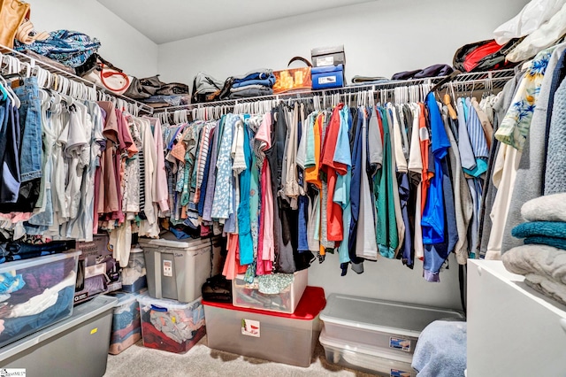 124 Highland Station Dr, Clinton, SC 29325 - spacious closet with carpet floors