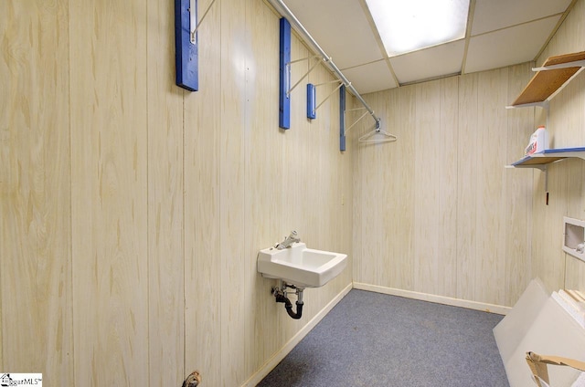 washroom with carpet floors, a sink, and wooden walls