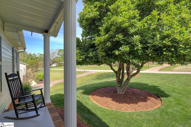 view of yard