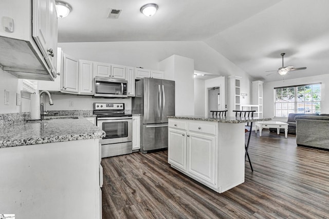 232 Ashley Danielle Dr, Duncan, SC 29334 - kitchen featuring a sink, visible vents, stainless steel appliances, a ceiling fan, and vaulted ceiling