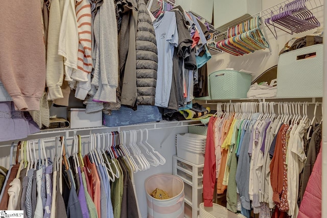 view of spacious closet
