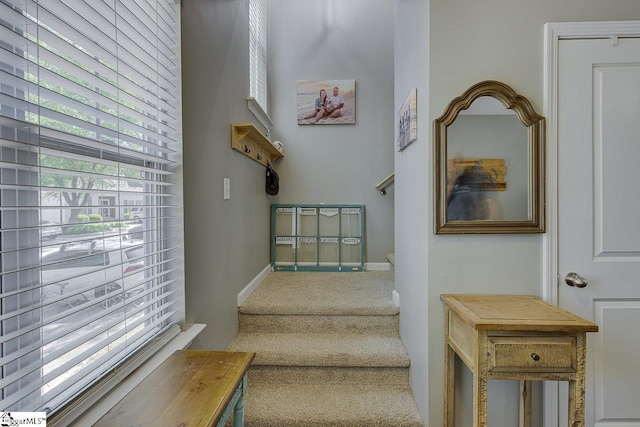 staircase with baseboards and carpet