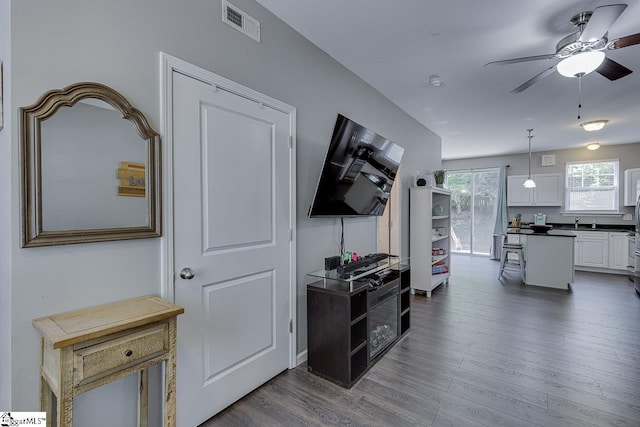 interior space featuring visible vents, a sink, and dark wood finished floors